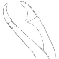 Verbrugge Forceps