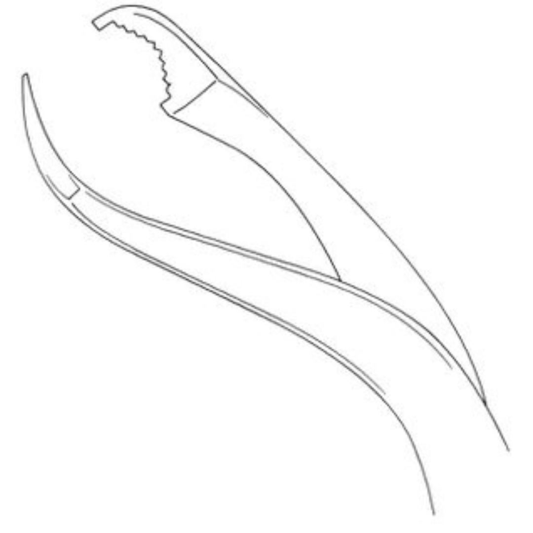 Verbrugge Forceps