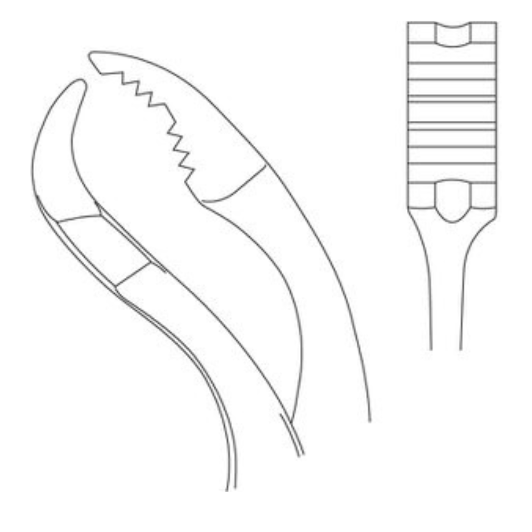 Verbrugge Forceps