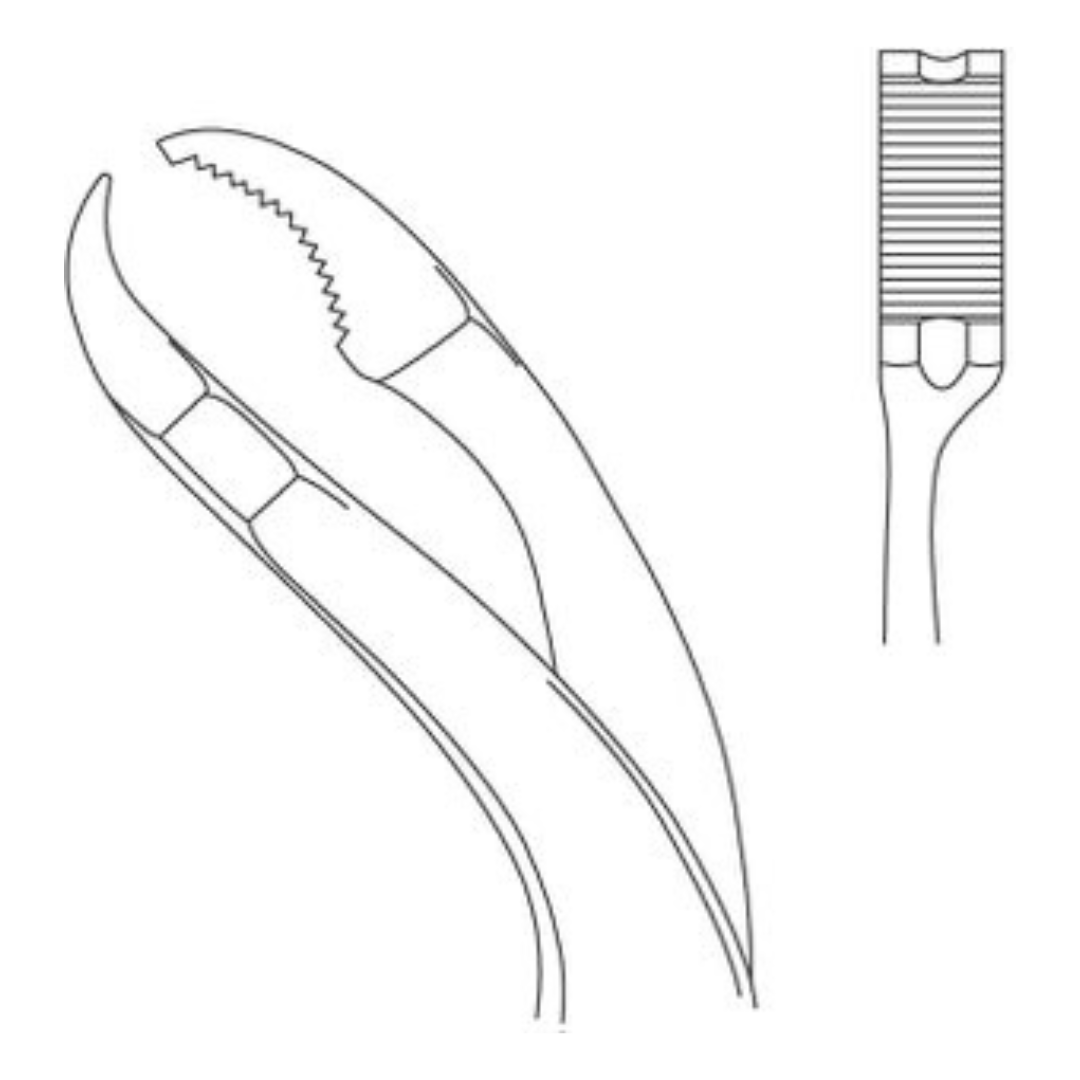 Verbrugge Forceps