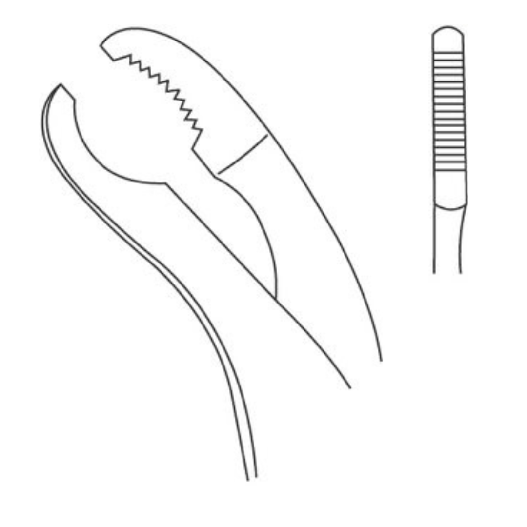 Verbrugge Forceps