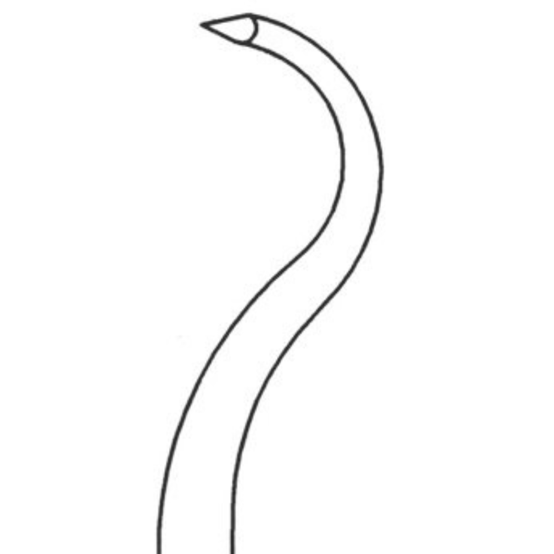 Shoulder Percussion