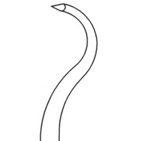 Shoulder Percussion