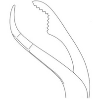 Verbrugge Forceps