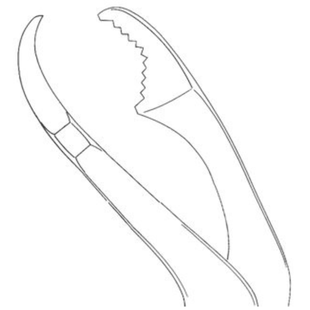 Verbrugge Forceps